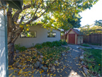 Backyard Shed