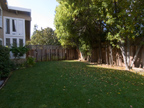 Sideyard