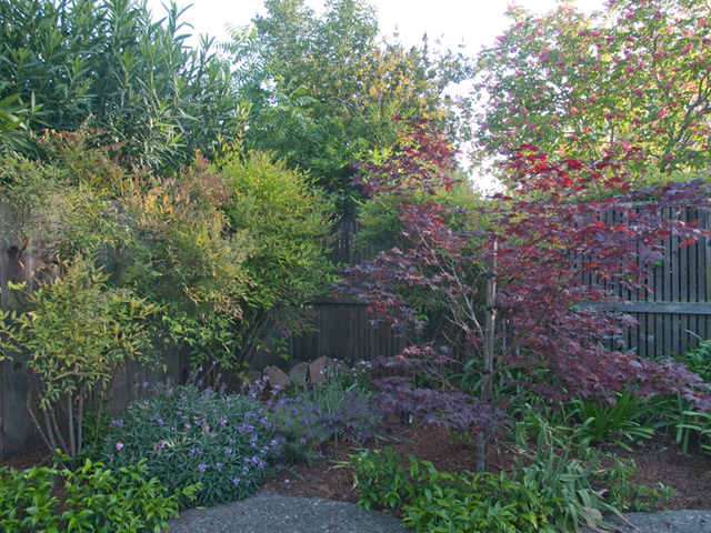 Garden - Home For Sale