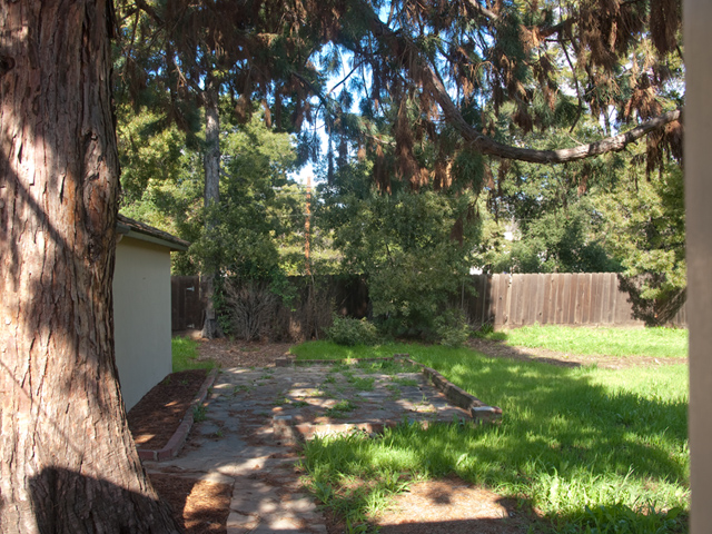 Backyard  - Home For Sale