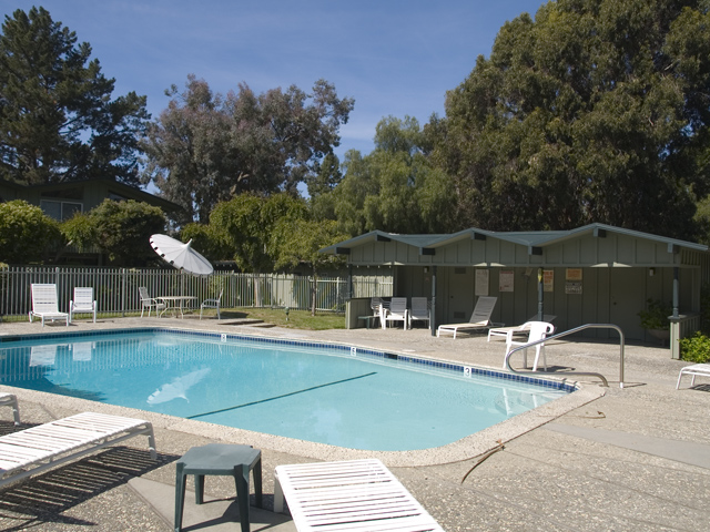 Pool - Home For Sale