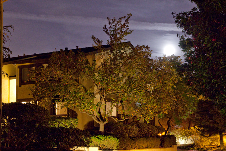 765 San Antonio Rd, Unit 43, Palo Alto - Home For Sale