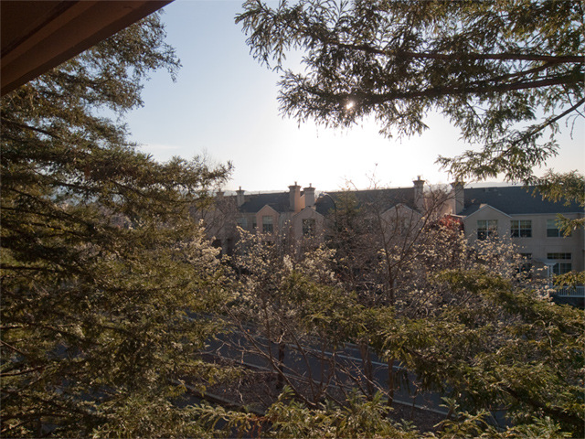 Balcony View  - Home For Sale