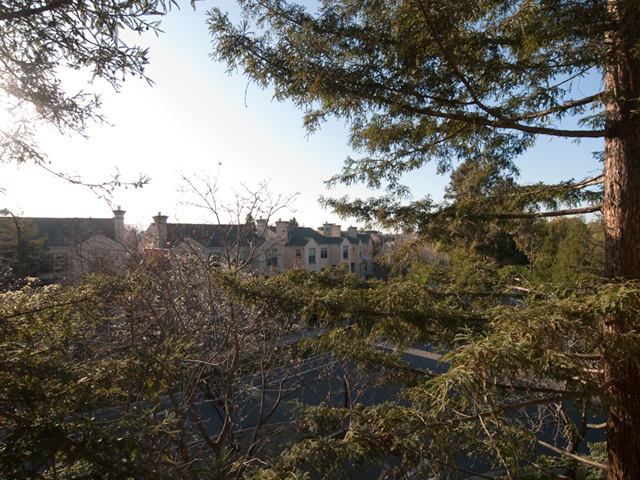 Bedroom View  - Home For Sale