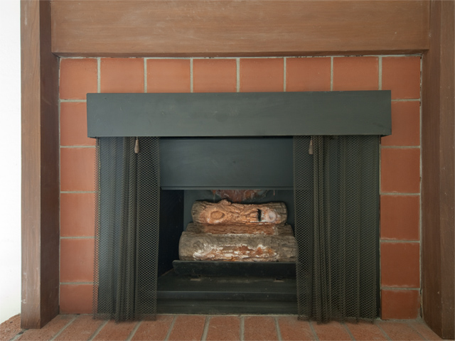 Gas Fireplace  - Home For Sale