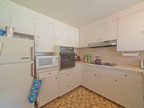 Rear Kitchen