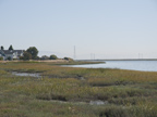 Nearby Baylands 