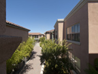 Open Space View 