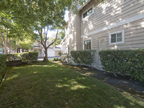 Side Yard