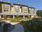 4228 Rickeys Way, C, Palo Alto - Homes for Sale Palo Alto Real Estate - 4228 Rickeys Way, C