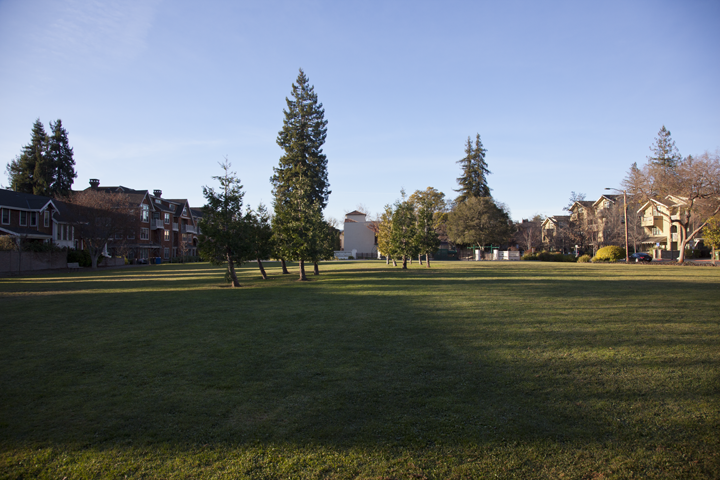 Heritage Park grass area - Palo Alto