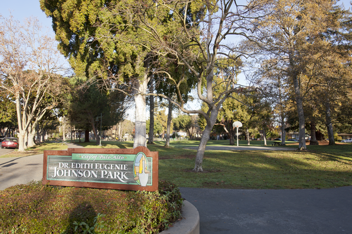 Johnson Park basketball hoop - Palo Alto