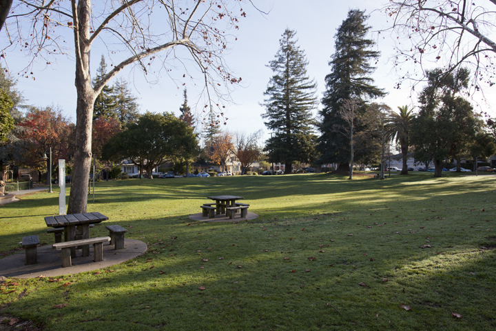 Johnson Park grass area - Palo Alto
