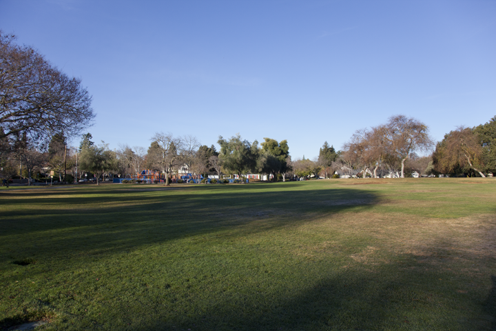 Pardee Park grass area