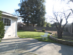 4690 Doyle Rd, San Jose 95129 - Back Yard 