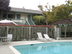 2025 California St 33, Mountain View 94040 - California St 2025 33b 