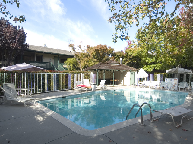 Pool Picture - 2025 California St 33, Mountain View 94040 Pool picture - 2025 California St 33, Mountain View 94040