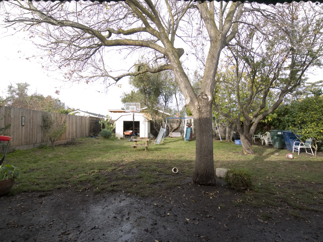 Backyard  picture - 1155 Cypress St, East Palo Alto 94303