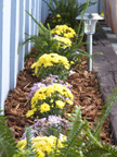 3121 Los Prados St 2, San Mateo 94403 - Flowers 