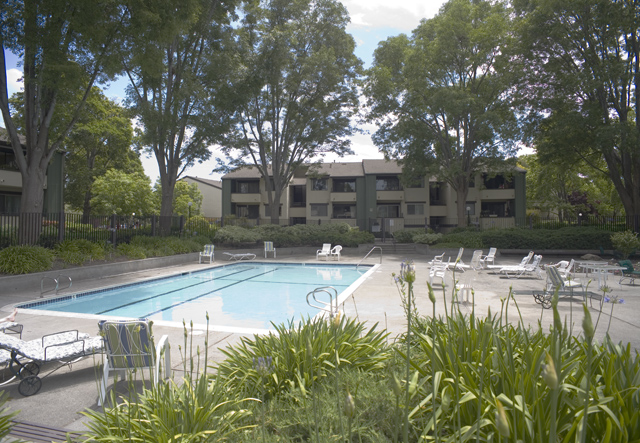 Pool  picture - 777 San Antonio Rd, Unit 69, Palo Alto 94303