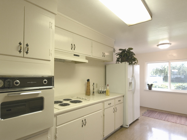 Kitchen Stove  picture - 1074 Sweet Ave, San Jose 95129