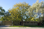 Channing Ave 1607 
