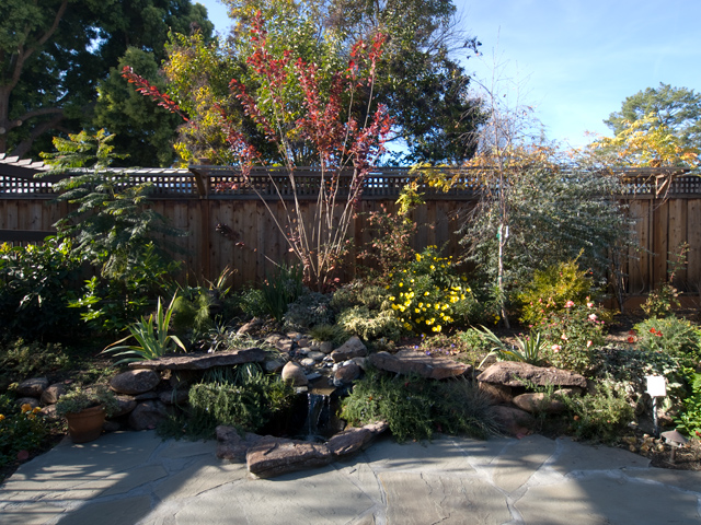 Patio  picture - 717 De Soto Dr, Palo Alto 94303