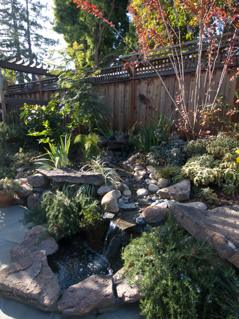 Water Fall  picture - 717 De Soto Dr, Palo Alto 94303