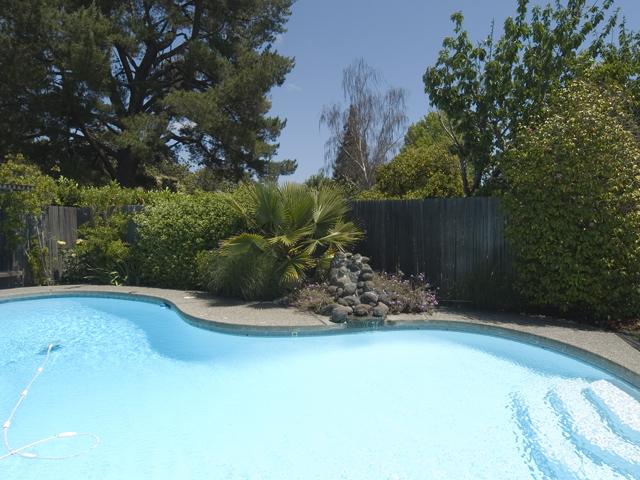 Pool  picture - 575 Madison Way, Palo Alto 94303