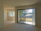 Living Dining 
