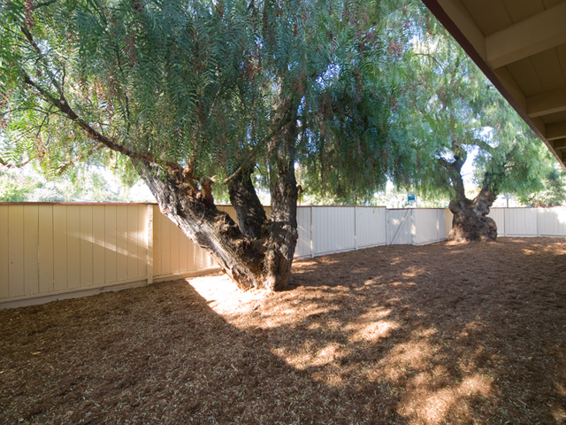 Yard picture - 4202 Ruthelma Ave, Palo Alto 94306