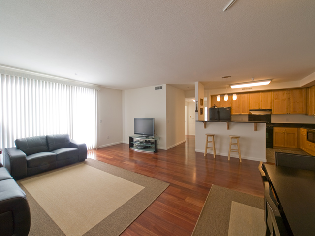 Living Room (C) picture - 19503 Stevens Creek Blvd 336, Cupertino 95014