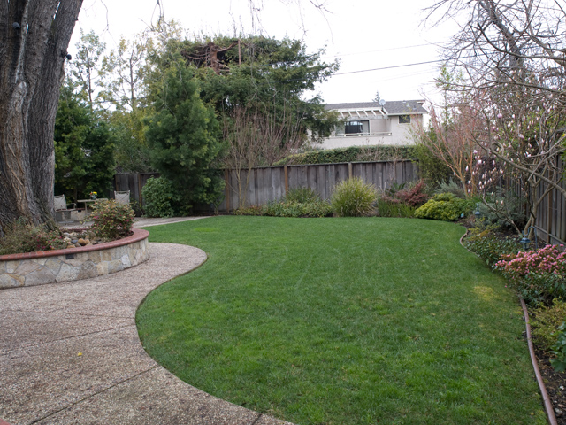 Backyard (C) picture - 871 Sycamore Dr, Palo Alto 94303