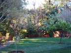 605 W Hillsdale Blvd, San Mateo 94403 - Backyard 