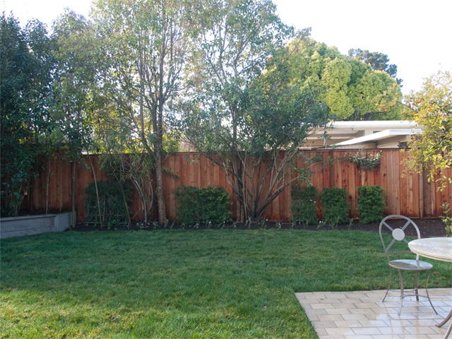 Backyard  picture - 371 Carolina Ln, Palo Alto 94306
