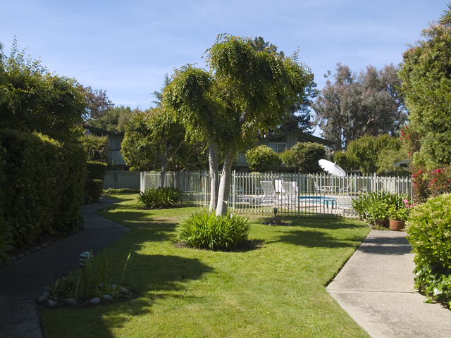 Pool  picture - 278 Monroe Dr 34, Mountain View 94040