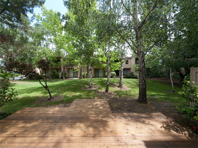 Patio  picture - 125 Ortega Ave, Mountain View 94040