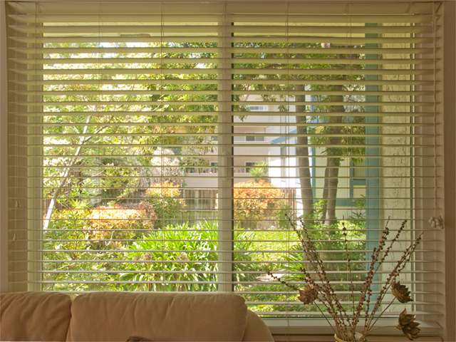Living Room Window  picture - 3270 Saint Ignatius Pl, Santa Clara 95051