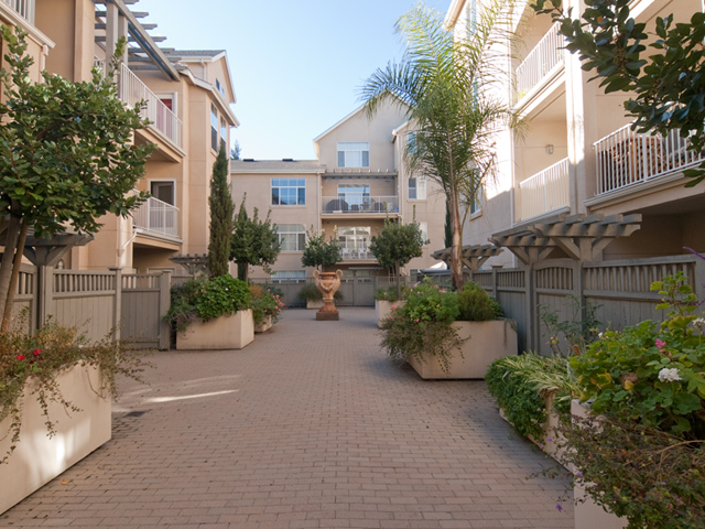 Court Yard  picture - 2255 Showers Dr 341, Mountain View 94040