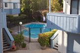 10069 Craft Dr, Cupertino 95014 - Pool 