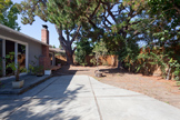 1032 Cuesta Dr, Mountain View 94040 - Backyard (B)