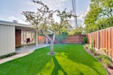 2428 Laura Ln, Mountain View 94043 - Back Yard (E)