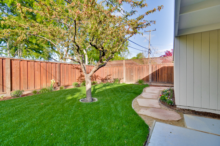 Back Yard (G) Picture - 2428 Laura Ln, Mountain View 94043 Back Yard (G) picture - 2428 Laura Ln, Mountain View 94043