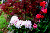 Entry Flowers 