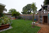 72 Lorelei Ln, Menlo Park 94025 - Backyard (B)