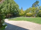 4257 Los Palos Ave, Palo Alto 94306 - Backyard (A)