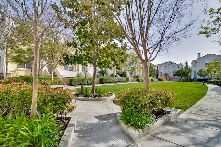 Community picture - 127 Montelena Ct, Mountain View 2010