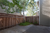 815 Peary Ln, Foster City 94404 - Backyard 