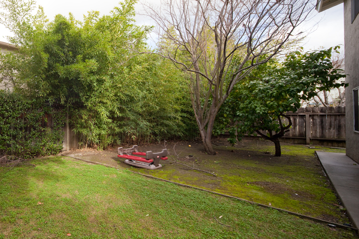 Back Yard - Home For Sale