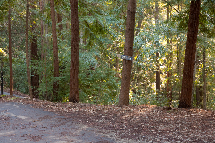 Road To Beach  picture - 386 Spring Hollow, Los Gatos 95033